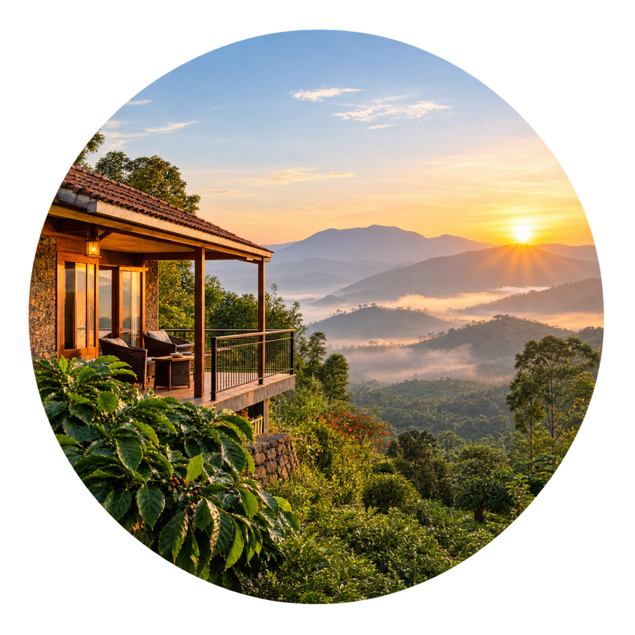 Chikkamagaluru coffee estate stay